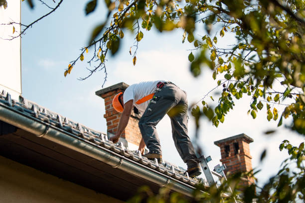 Best Commercial Roofing Services  in Warren, OR