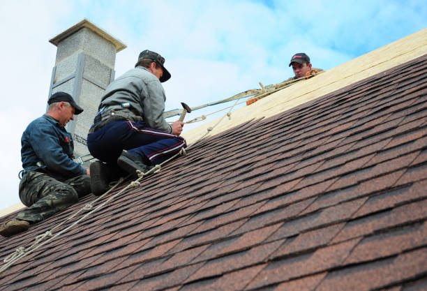 Best Slate Roofing Contractor  in Warren, OR